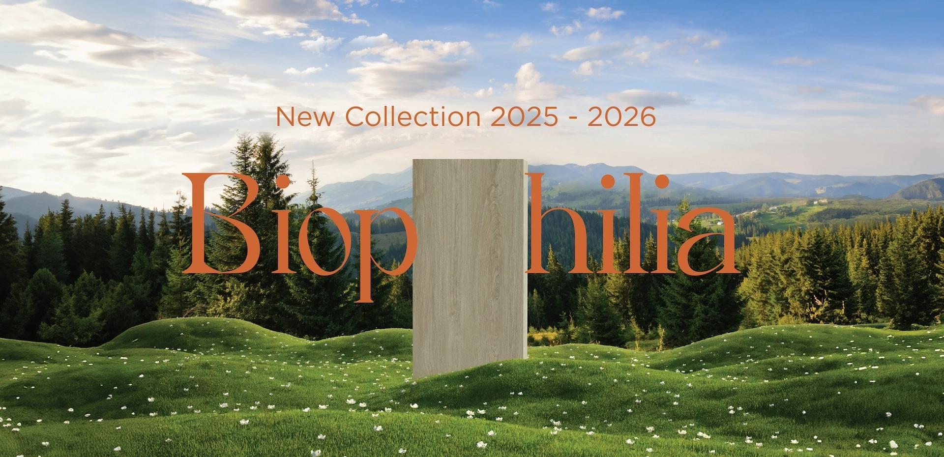 panel plus new collection 2025