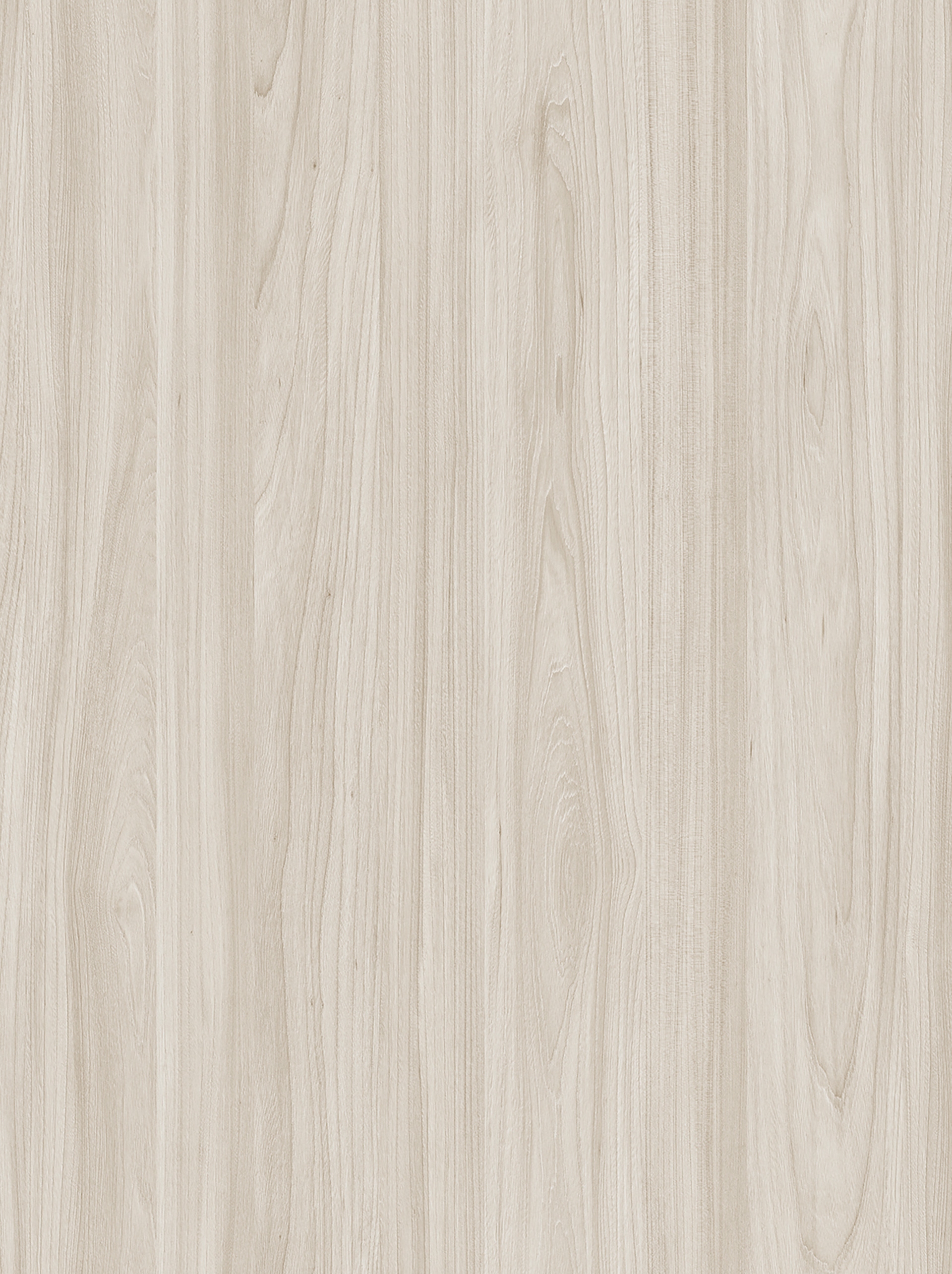 swiss-elm-sand-ar7jpg